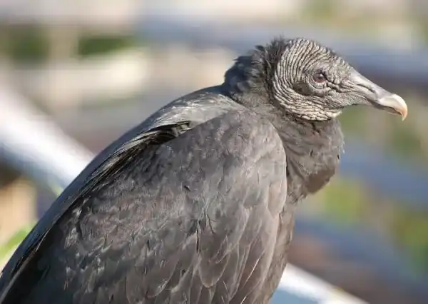 2025072819403302.webp 8.webp