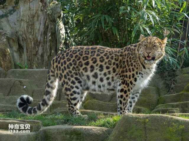 2023053011433779.jpg 4.jpg