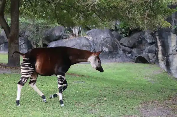 2025092516779844.webp 3.webp