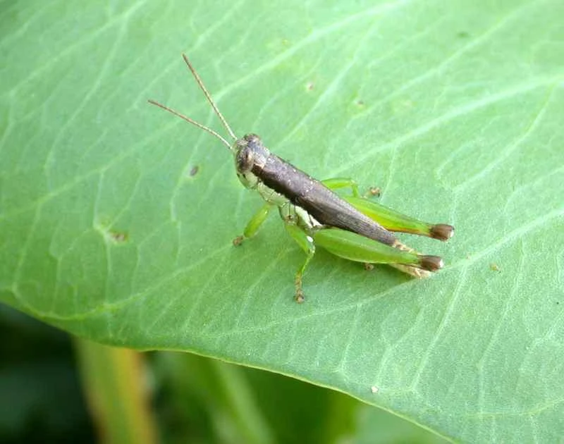 2025011338768664.jpg 88.jpg