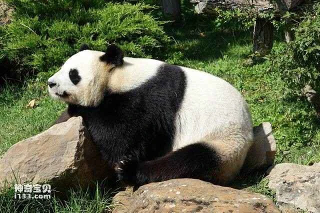 2023060593625196.jpg 5.jpg