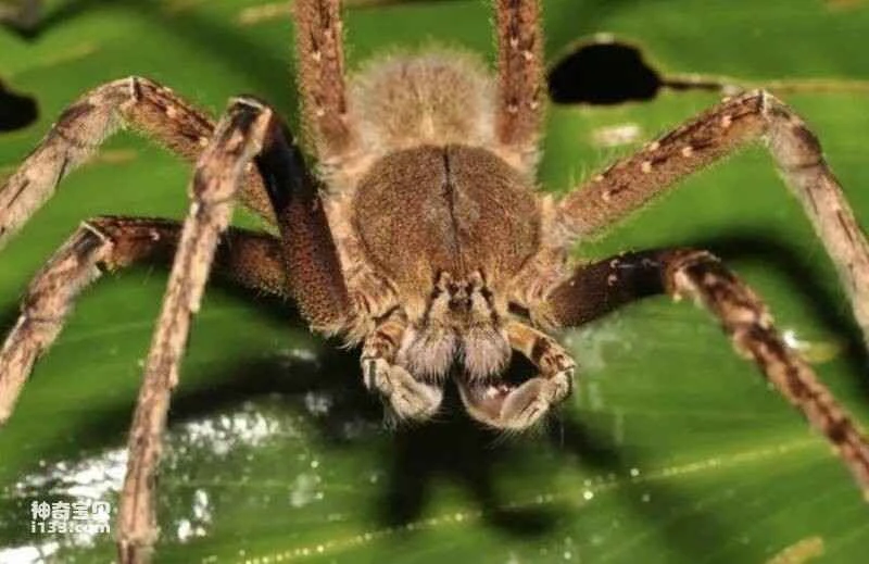 2023032487218988.jpg 屏幕快照 2023-03-24 下午6.05.51.jpg