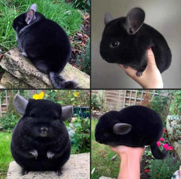 2023110364187474.jpeg 7(1).jpeg