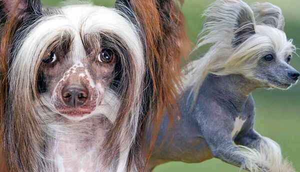 2024122610259997.jpg 10.jpg