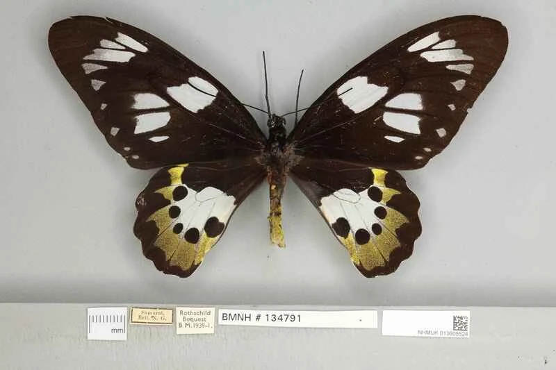 2024110615718626.jpg 55.jpg