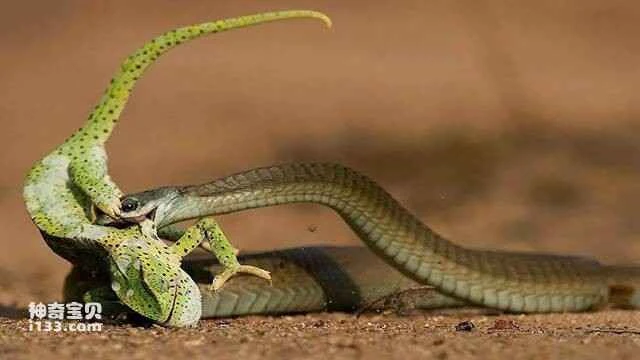 2023052593825112.jpg 5.jpg