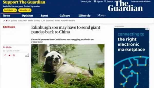 Malaysia wants to return the pandas because it cannot afford their food.