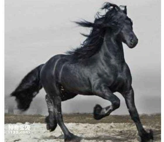 2023052914190198.jpg 3.jpg