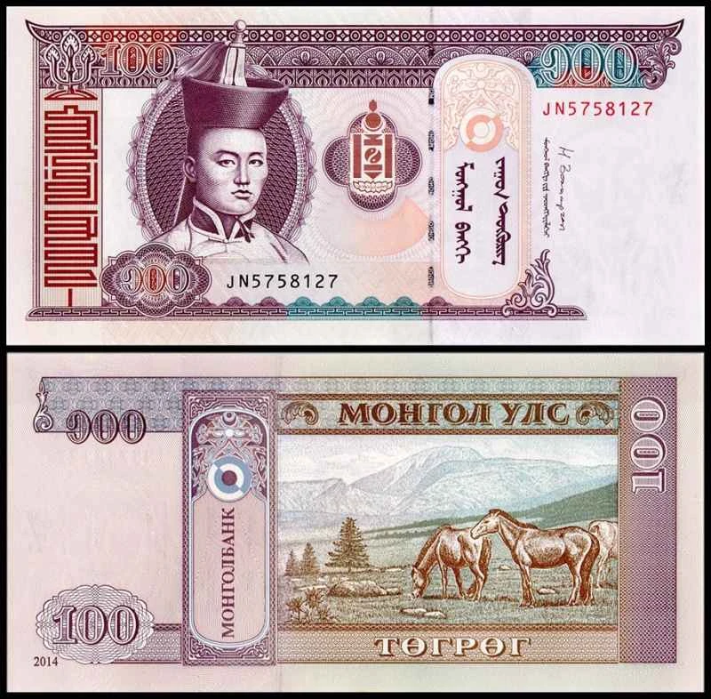 2023060515326246.jpeg 5.jpeg