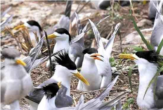 1661653597302588.jpeg 5fbfdae5bb95ff448df8215aa1bcc962_九雷图片转换器.jpeg