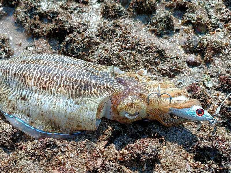 2024111756181304.jpg 44.jpg