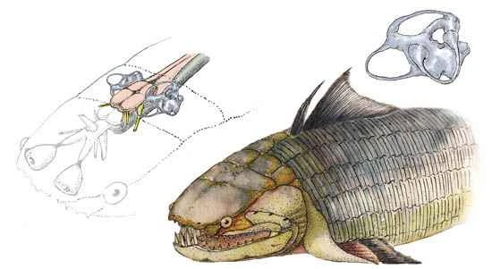 1663053201677629.jpg 3.jpg