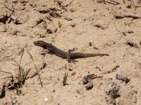 2025072814502138.webp 5.webp