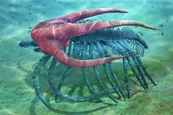 2024110417323726.jpg 4.jpg