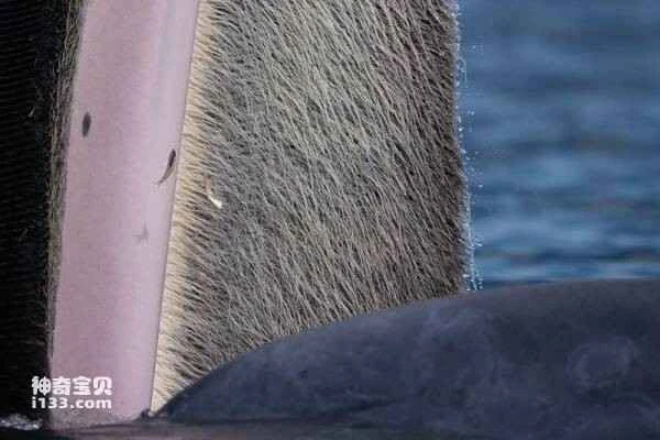 2023031120895768.jpg 2.jpg