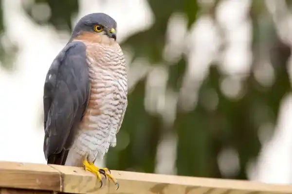 2025083023625885.webp 6.webp