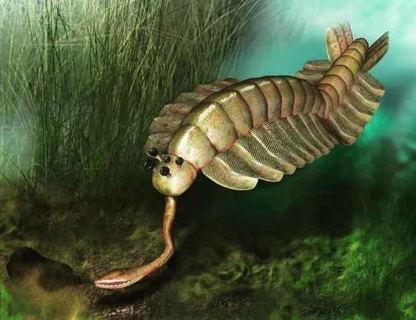 2024110410976454.jpg 3.jpg