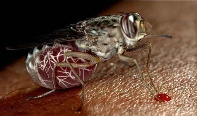 2024092575497290.jpeg 9.jpeg