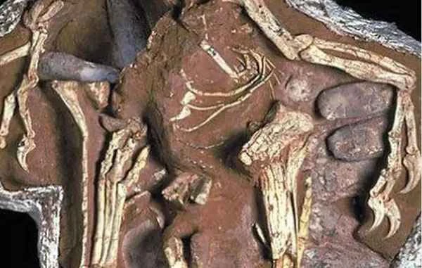 A list of the eight world's most amazing dinosaurs