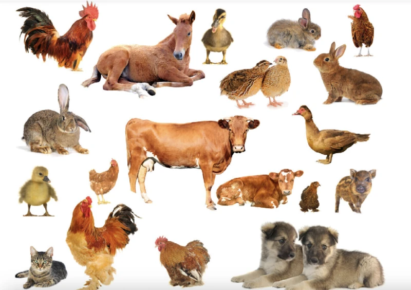 2024101687544365.png 1.png