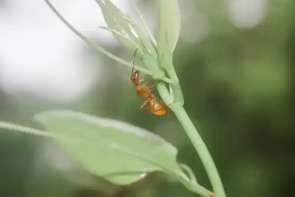 2025082512230894.webp 8.webp