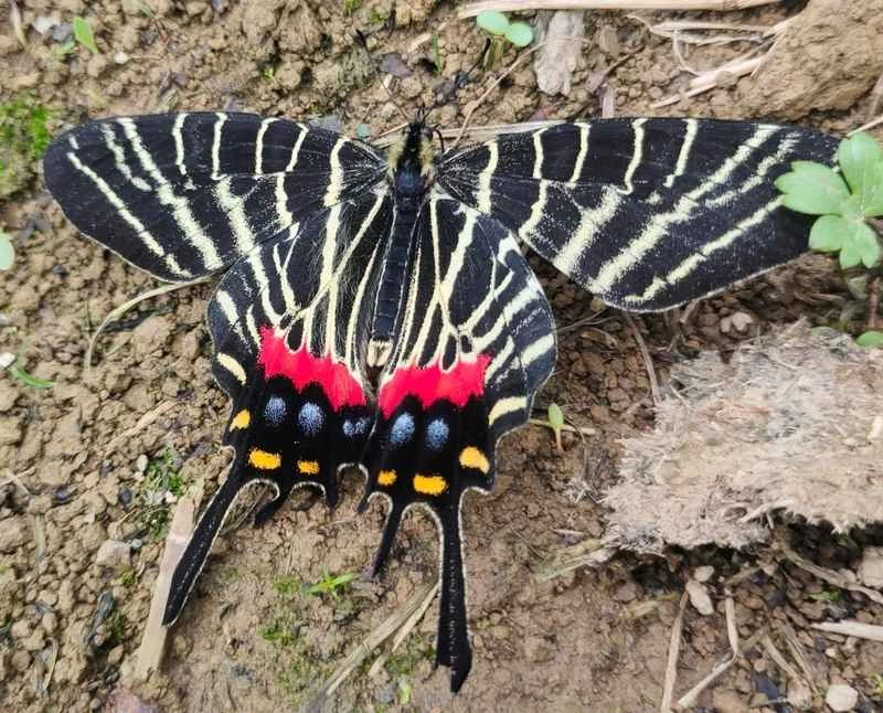 2024110618423807.jpg 7.jpg