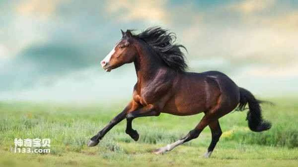 2023052924154424.jpg 2.jpg