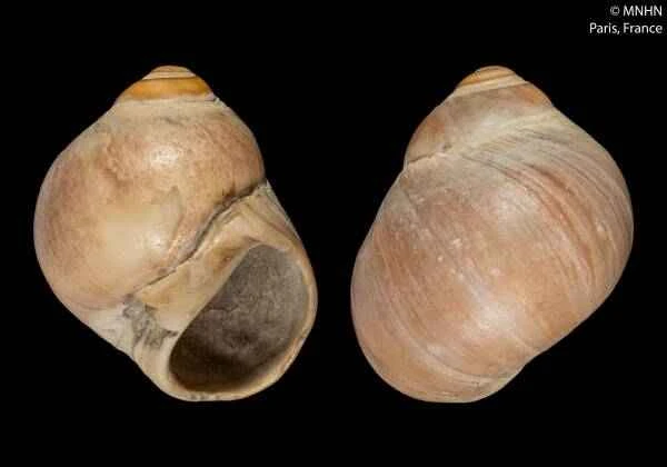 2023110580246777.jpeg 5(1).jpeg