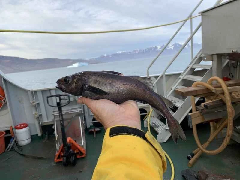 2025022771277757.jpg 6.jpg