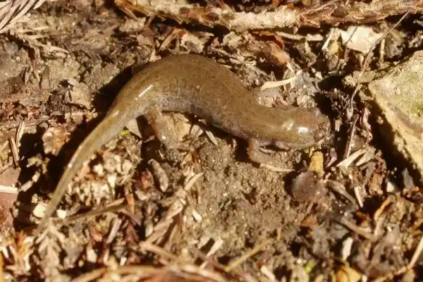 2025082614339110.webp 12.webp