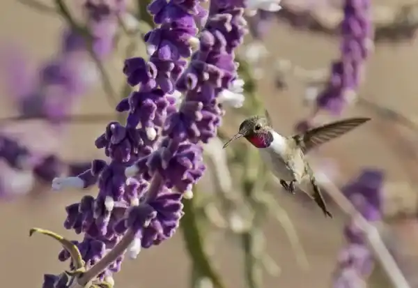 2025072921336889.webp 9.webp