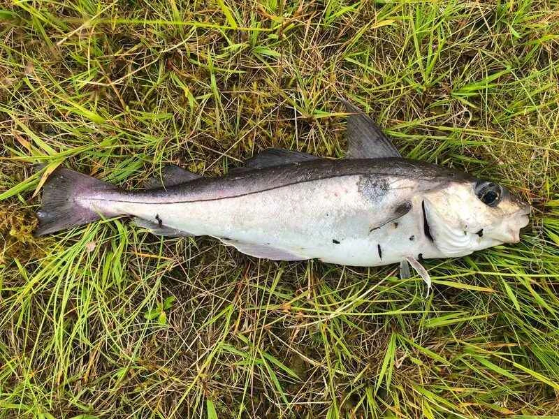 2025022712409080.jpg 5.jpg