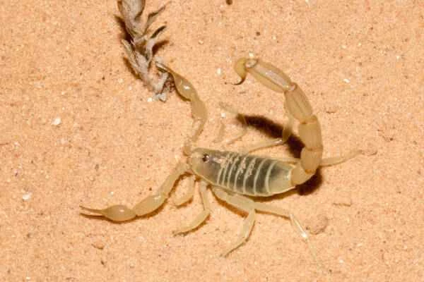 2023110615379570.jpeg 10(1).jpeg