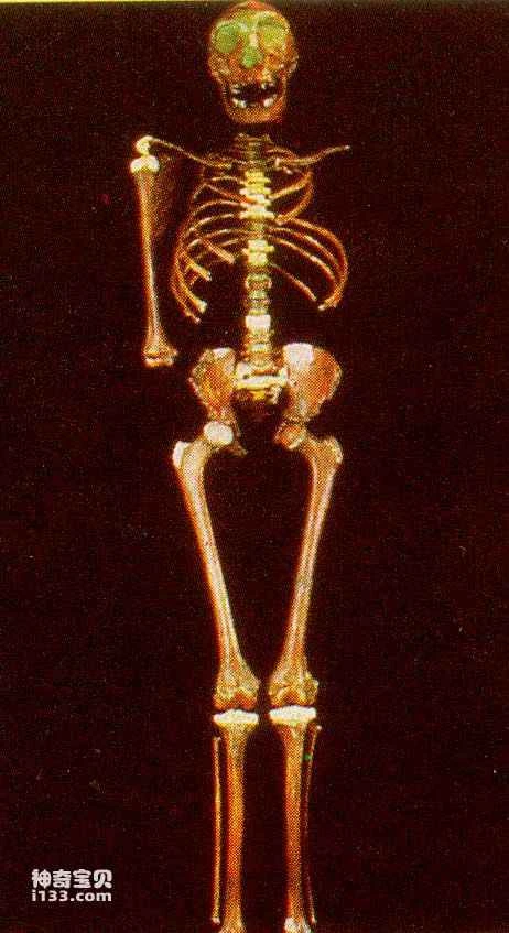 What are the advantages of the genus Homo?