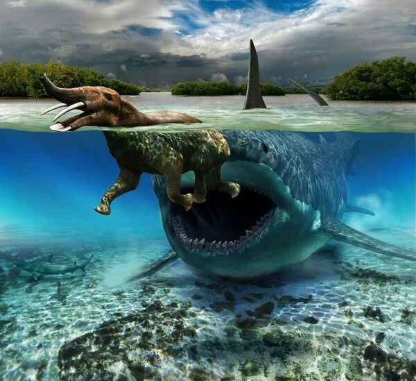 2024110512699642.jpg 2.jpg