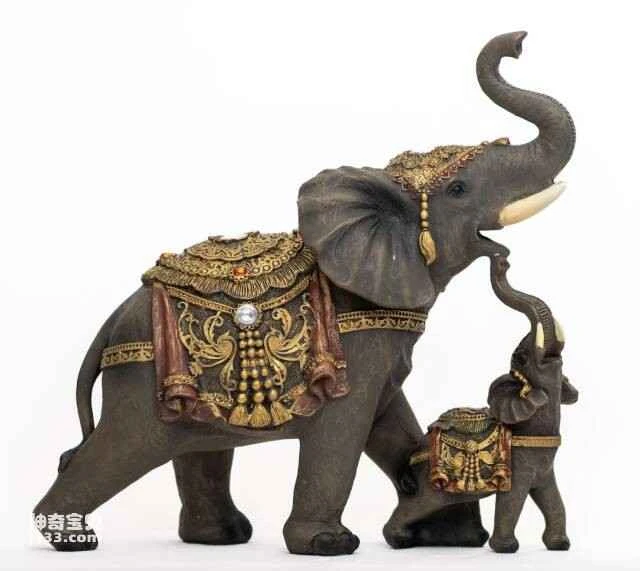 2023060727969266.jpg 7.jpg