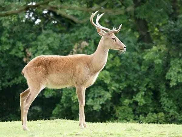 2024011724638436.jpeg 1.jpeg