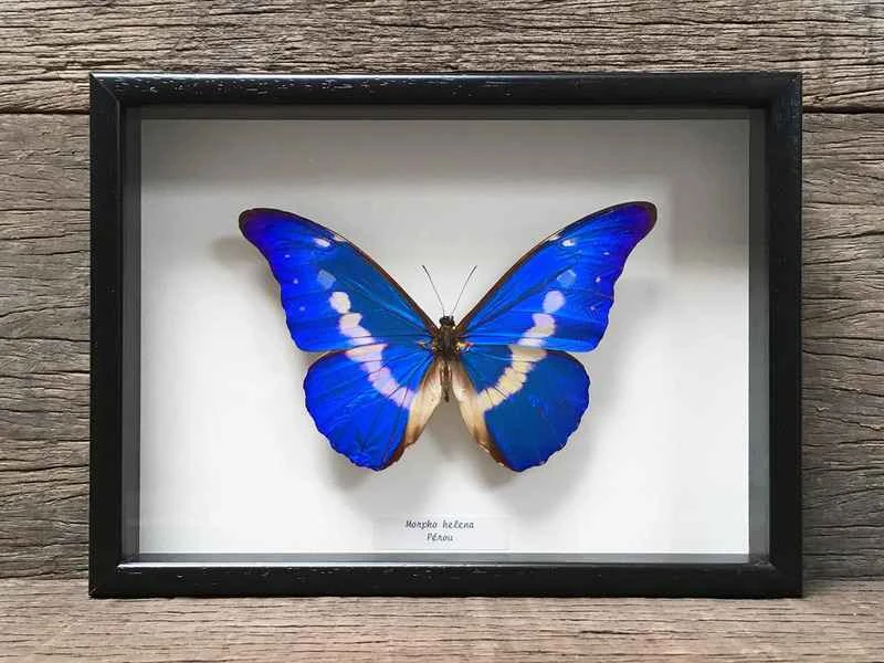 2024110611473715.jpg 88.jpg