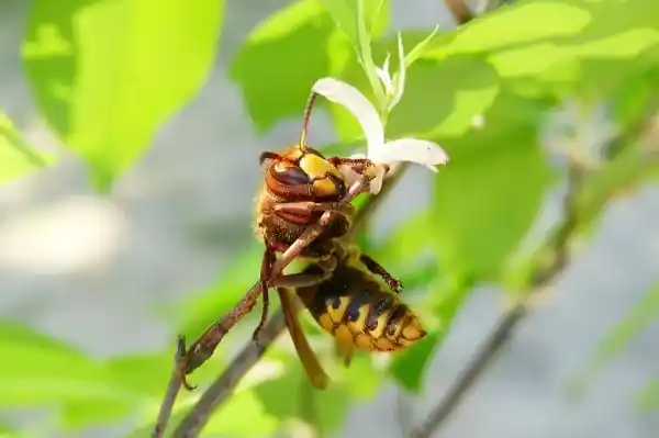 2025073116727011.webp 10.webp