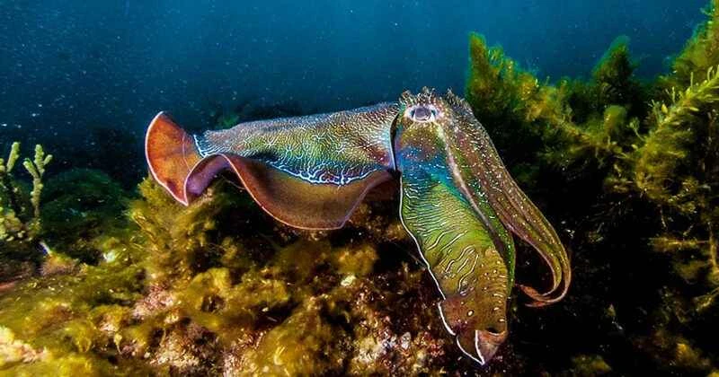 2024111738868288.jpeg 111.jpeg