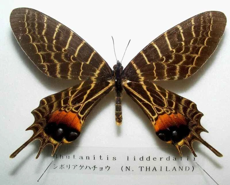 2024110611571055.jpg 22.jpg