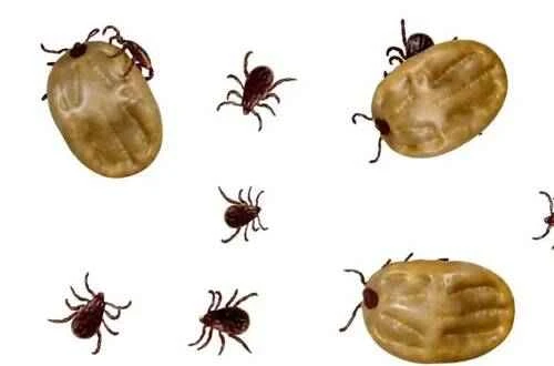 2024092414977672.jpeg 28ec464d688519eb3bfaa21540b2da6d.jpeg