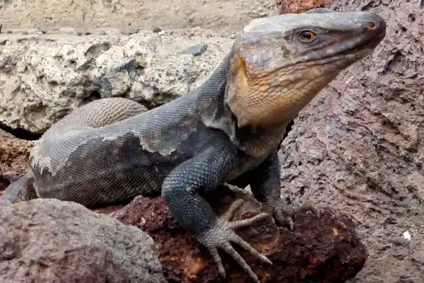 2025082517391910.webp 3.webp