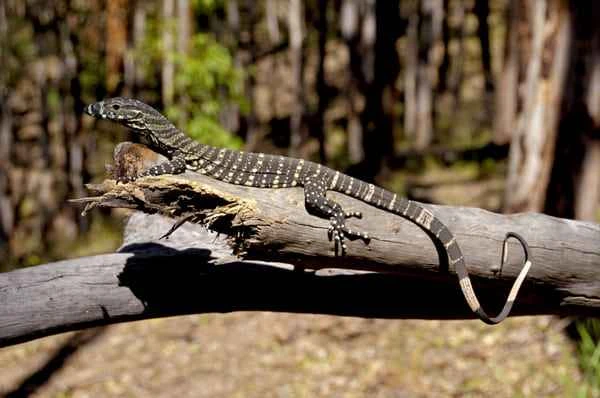 2024010716865697.jpeg 10.jpeg