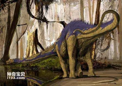 Fossil sites and physical characteristics of Diplodocus