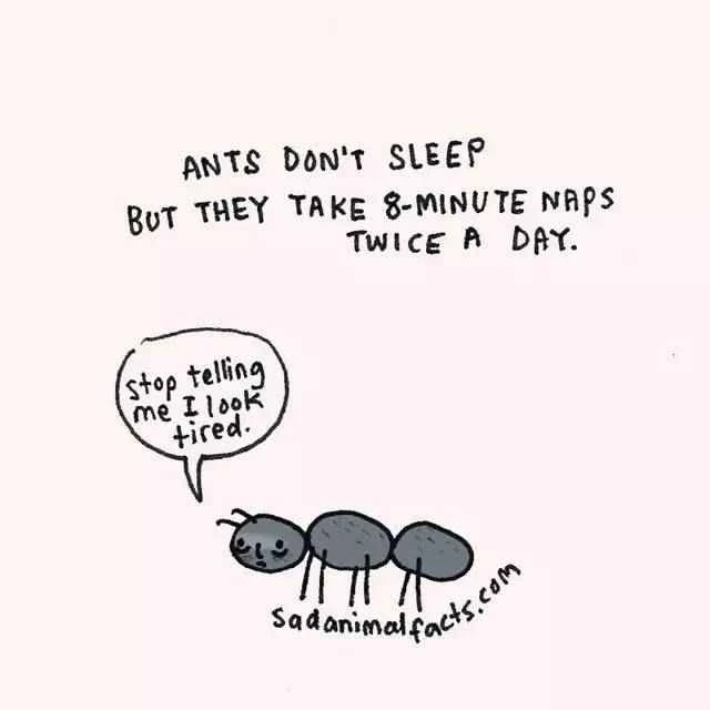 2023011916151555.jpg 2.jpg