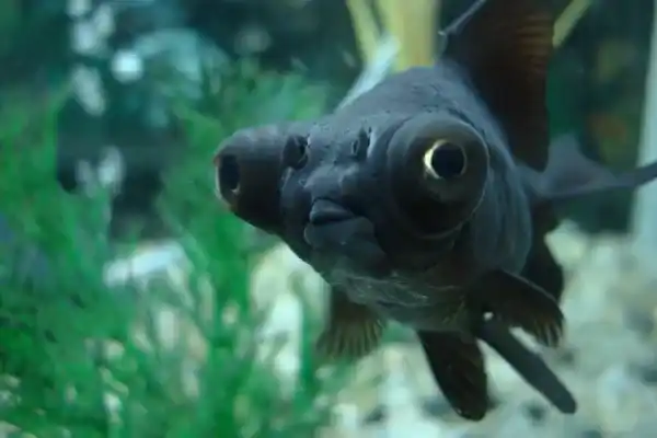 2025082897470908.webp 10.webp