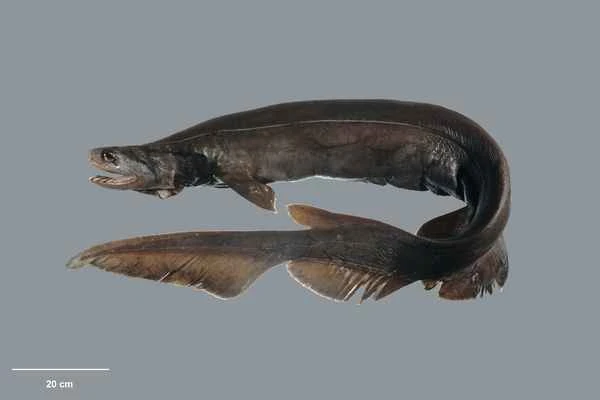 2024041242352639.jpeg 4.jpeg