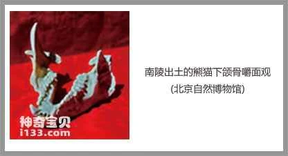 The story of Empress Dowager Bo of the Western Han Dynasty and the panda