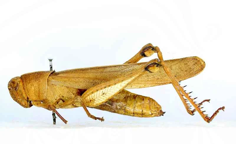 2025011310698292.jpg 111.jpg